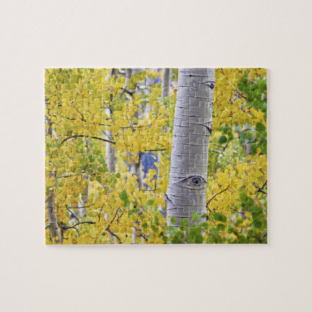 USA, Colorado, Rocky Mountains.  Privataspekt 2 (Horizontal)