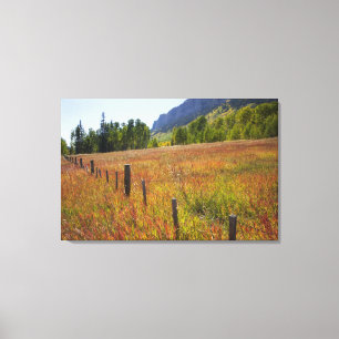 USA, Colorado, San Juan National Forest, entlang Leinwanddruck