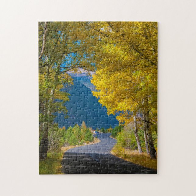 USA, Colorado. Straßenbelag mit Aspen (Vertikal)