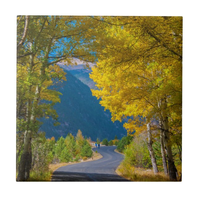 USA, Colorado. Straßenbelag mit Aspen Fliese (Vorderseite)