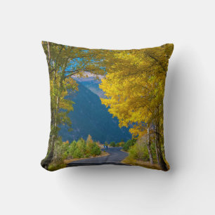 USA, Colorado. Straßenbelag mit Aspen Kissen