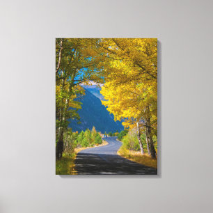 USA, Colorado. Straßenbelag mit Aspen Leinwanddruck