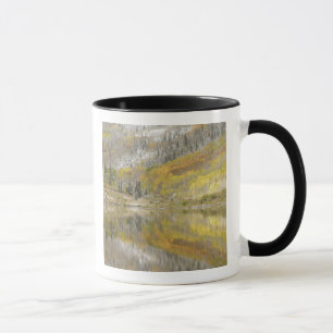 USA, Colorado, White River National Forest, 2 Tasse