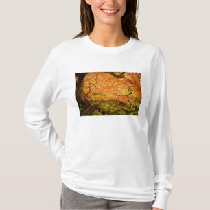 USA, Delaware, Wilmington. Japanischer Ahorn T-Shirt