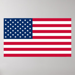 USA des American Flag Poster