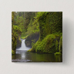 USA, Eagle Creek, Columbia Gorge, Oregon. 3 Button