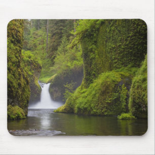 USA, Eagle Creek, Columbia Gorge, Oregon. 3 Mousepad