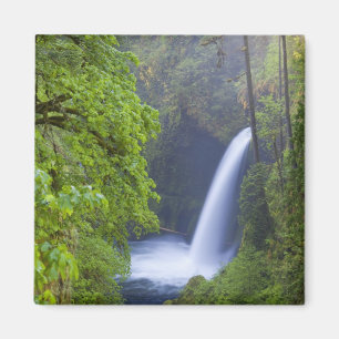 USA, Eagle Creek, Columbia Gorge, Oregon. Magnet
