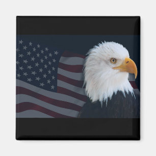 Usa Eagle Magnet