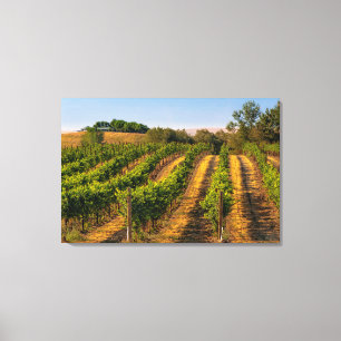 USA, Eastern Washington, Walla Walla Leinwanddruck