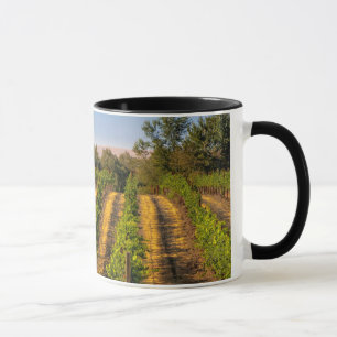 USA, Eastern Washington, Walla Walla Weinberge Tasse