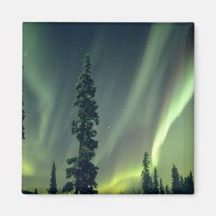 USA, Fairbanks area, Central Alaska, Aurora Magnet