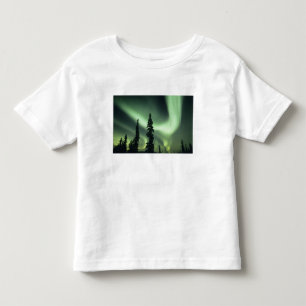 USA, Fairbanks-Gebiet, Zentralalaska, Aurora 2 Kleinkind T-shirt