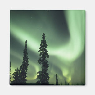 USA, Fairbanks-Gebiet, Zentralalaska, Aurora 2 Magnet