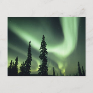 USA, Fairbanks-Gebiet, Zentralalaska, Aurora 2 Postkarte