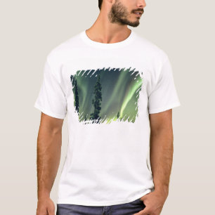 USA, Fairbanks-Gebiet, Zentralalaska, Aurora T-Shirt