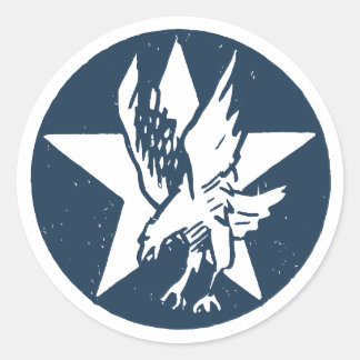 USA Fighting Squadron Insignia Runder Aufkleber