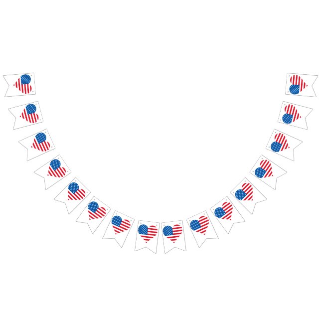 Usa Flag Frack Party Bunting Banner (Alle)