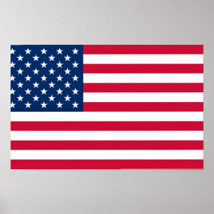 USA Flag Poster USA