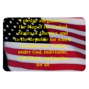 USA-Flagge mit Pleasetmagnet Magnet