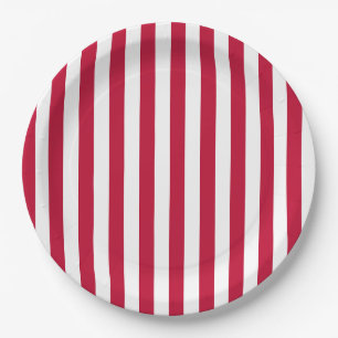 USA-Flagge Thema Rot-Weiß-Streifen-Muster Pappteller