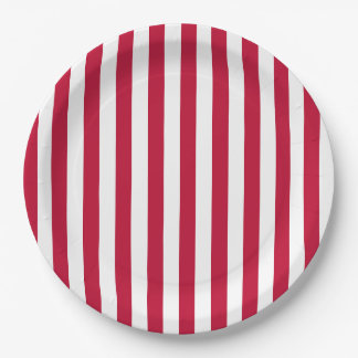 USA-Flagge Thema Rot-Weiß-Streifen-Muster Pappteller