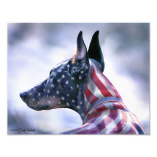 USA-Flaggen-Dobermann-Porträt Fotodruck