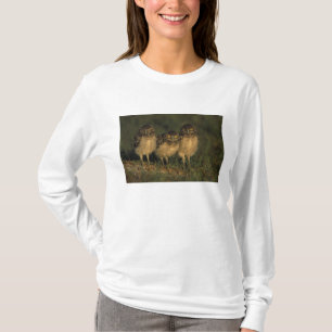USA, Florida, Cape Coral. Drei Kaninchenkäuze T-Shirt