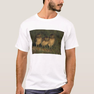 USA, Florida, Cape Coral. Drei Kaninchenkäuze T-Shirt