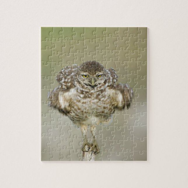 USA, Florida, Cape Coral, Nah aufkeimende (Vertikal)