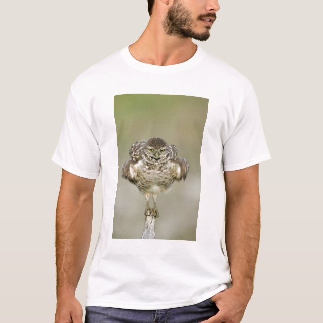 USA, Florida, Cape Coral, Nah aufkeimende T-Shirt (Vorderseite)