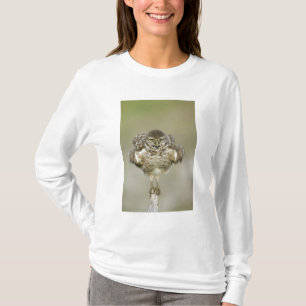 USA, Florida, Cape Coral, Nah aufkeimende T-Shirt