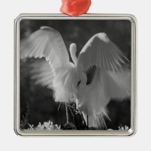 USA, Florida, Großer Silberreiher (Ardea alba) Inf Ornament Aus Metall