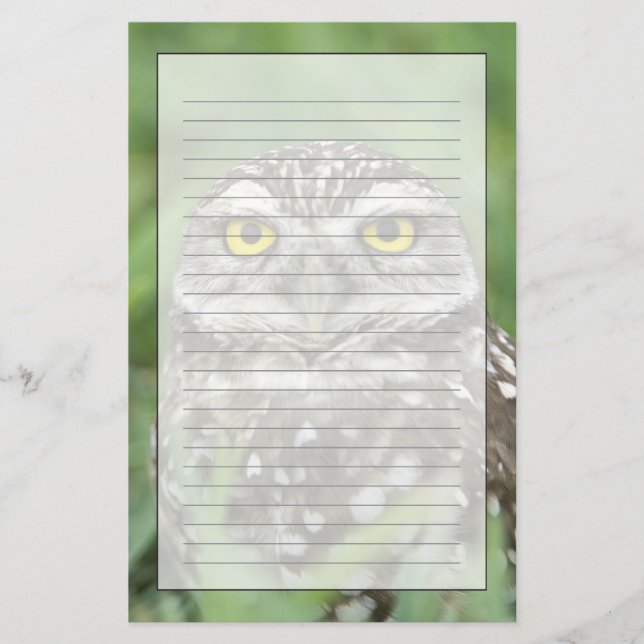 USA, Florida, Kapkorallen, Burrowing Owl (Athene) Briefpapier (Vorderseite)