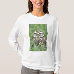 USA, Florida, Kapkorallen, Burrowing Owl (Athene) T-Shirt