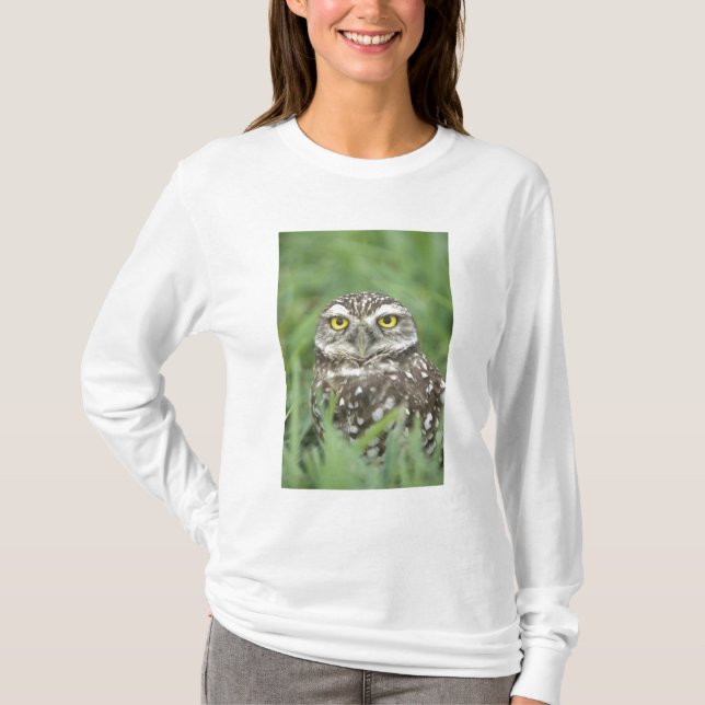 USA, Florida, Kapkorallen, Burrowing Owl (Athene) T-Shirt (Vorderseite)