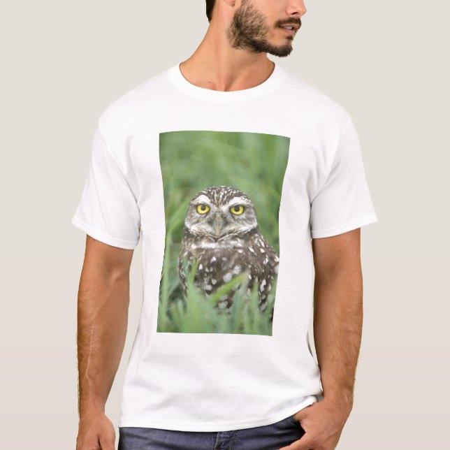 USA, Florida, Kapkorallen, Burrowing Owl (Athene) T-Shirt (Vorderseite)