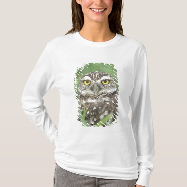 USA, Florida, Kapkorallen, Burrowing Owl (Athene) T-Shirt (Vorderseite)