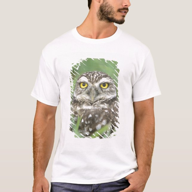 USA, Florida, Kapkorallen, Burrowing Owl (Athene) T-Shirt (Vorderseite)