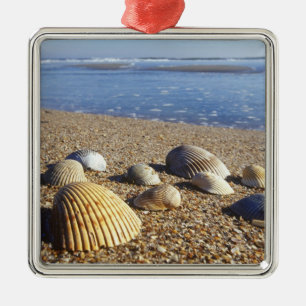 USA, Florida, Küstenmeeresmuscheln Ornament Aus Metall