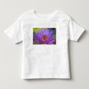 USA, Florida, Lake Kissimmee. Grüner Laubfrosch Kleinkind T-shirt