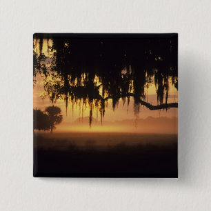 USA, Florida, Lake Kissimmee. Silhouette bei Sonne Button