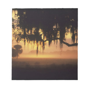USA, Florida, Lake Kissimmee. Silhouette bei Sonne Notizblock