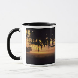 USA, Florida, Lake Kissimmee. Silhouette bei Sonne Tasse