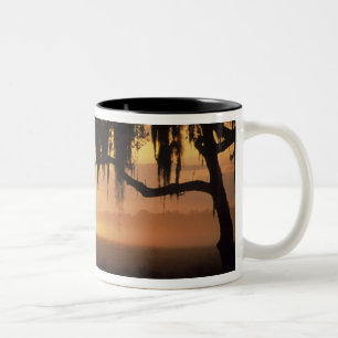 USA, Florida, Lake Kissimmee. Silhouette bei Sonne Zweifarbige Tasse