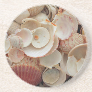 USA, Florida. Nahaufnahme von Muscheln auf Santa R Getränkeuntersetzer