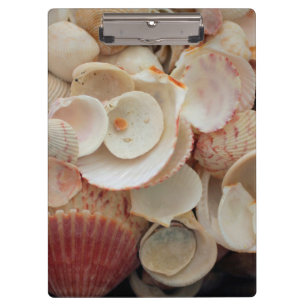 USA, Florida. Nahaufnahme von Muscheln auf Santa R Klemmbrett
