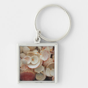 USA, Florida. Nahaufnahme von Muscheln auf Santa R Schlüsselanhänger