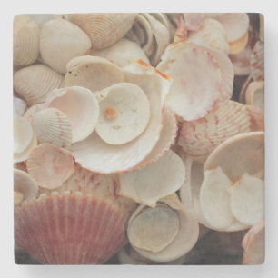 USA, Florida. Nahe Aufnahme von Muscheln in Santa  Steinuntersetzer