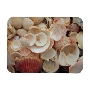 USA, Florida. Nahen Muscheln auf Santa Rosa Magnet